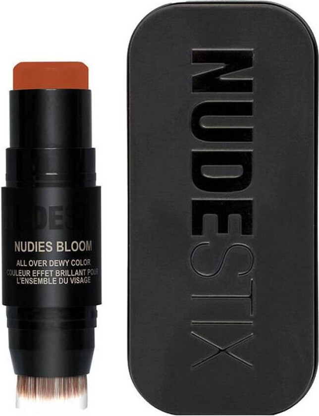 Nudestix Nudies Blush Bloom Dewy Rusty Rouge 7g
