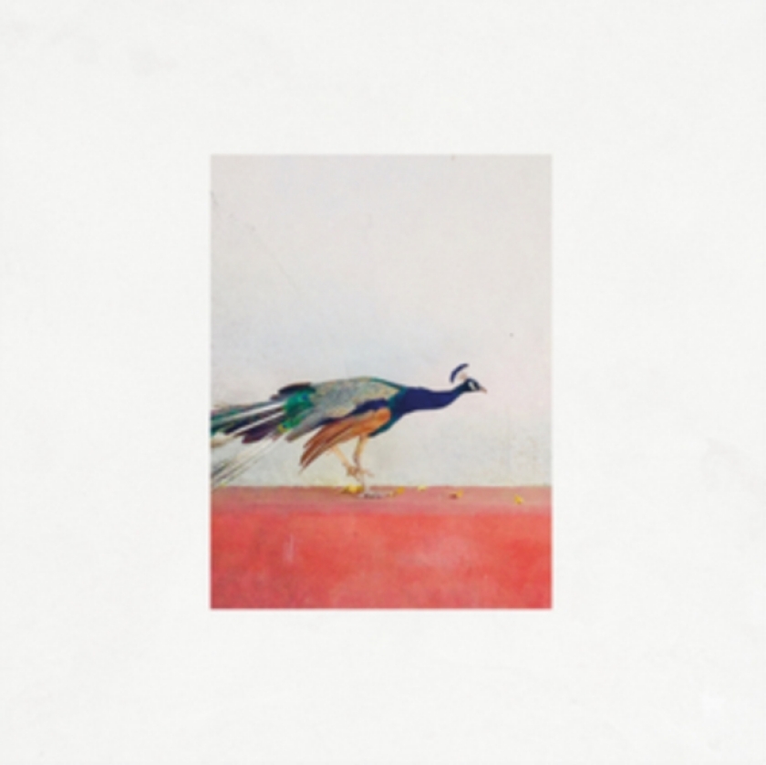 Jason Singh & The Banwasi Collective Travellers CD