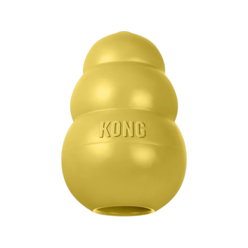 Classic Gold S - Hund - Hundeleker