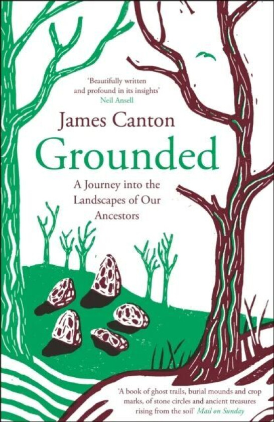 Grounded av James Canton