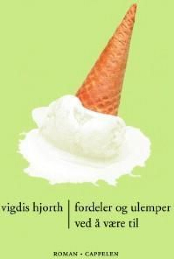 Fordeler og ulemper ved å være til av Vigdis Hjorth