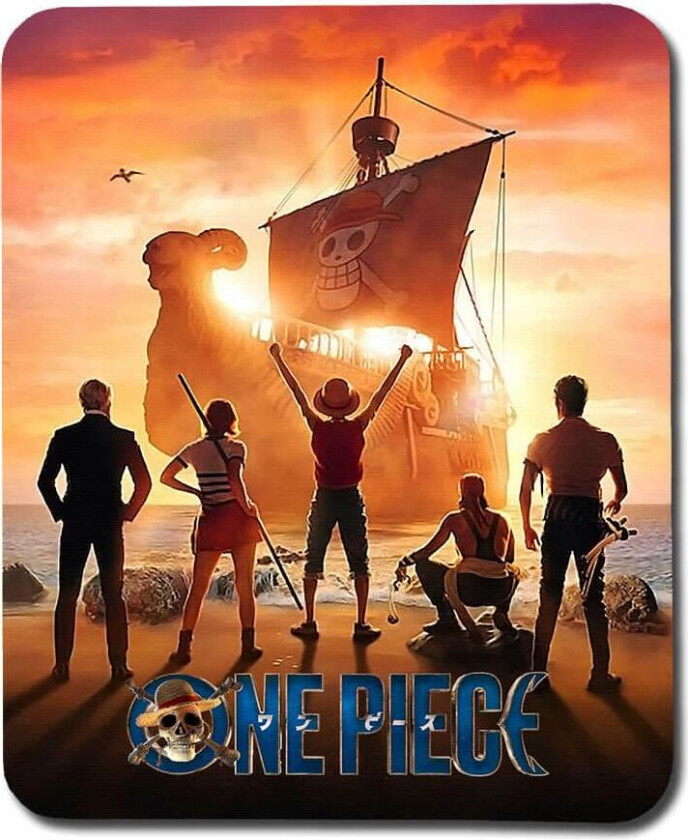 One Piece 2023 Musematte