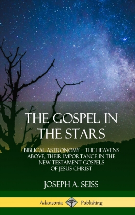 The Gospel in the Stars av Joseph a Seiss (Hardcover)