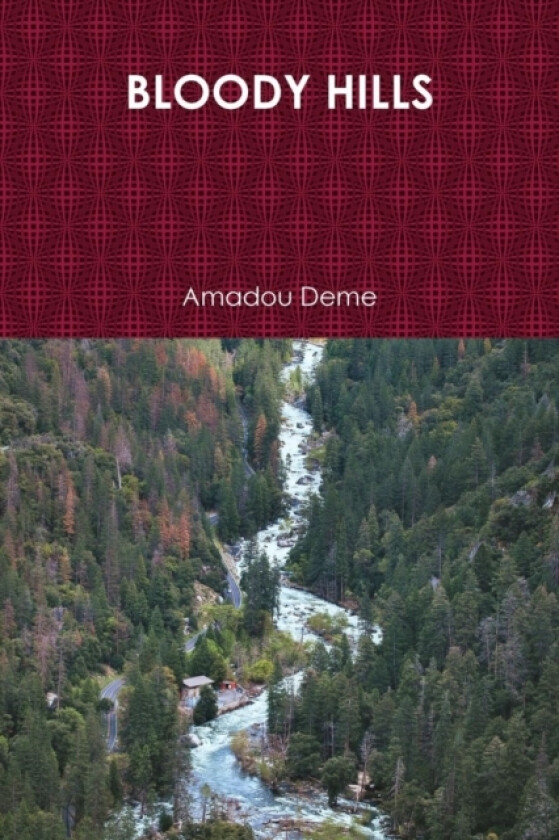 Bloody Hills av Amadou Deme (Paperback)