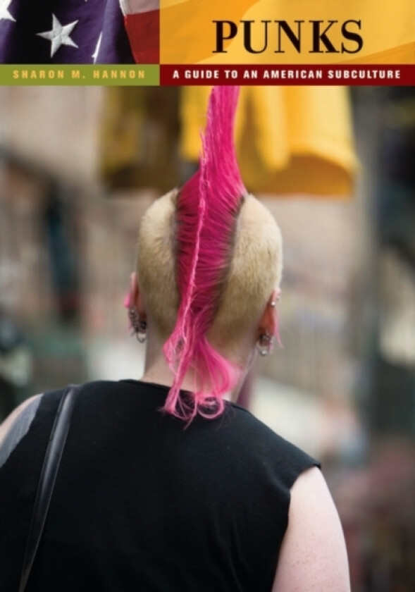 Punks av Sharon M. Hannon (Hardcover)
