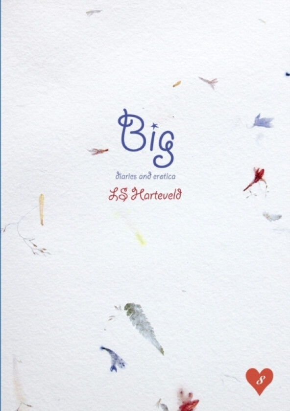 Big diaries and erotica av LS Harteveld (Paperback)