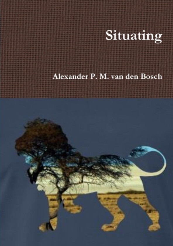 Situating av Alexander P M Van Den Bosch (Paperback)
