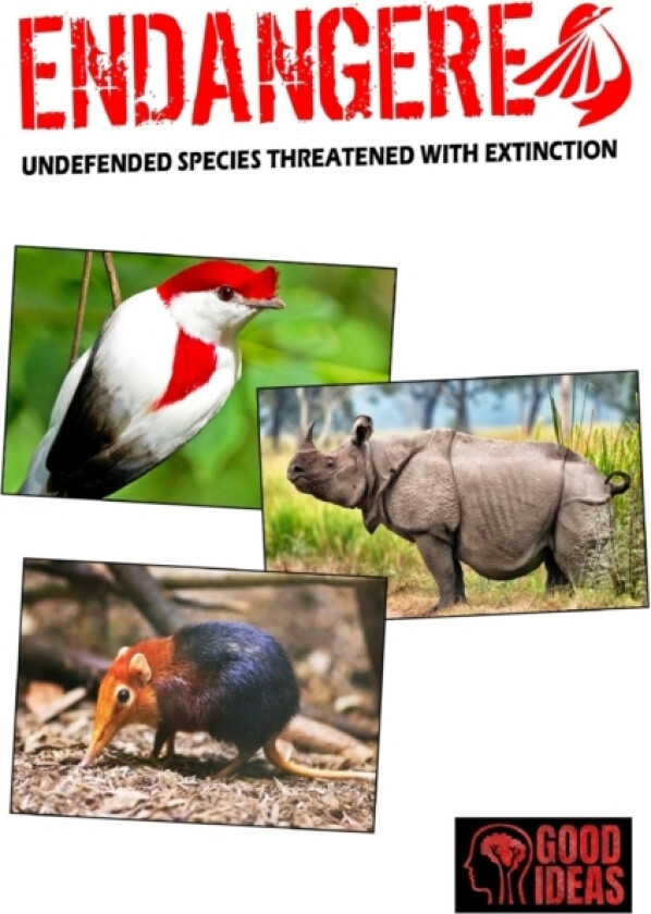 ENDANGERED - Undefended species threatened with extinction av Good Ideas (Paperback)
