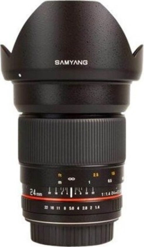 Wide-angle lens - 24 mm - f/1.4 AE ED AS IF UMC - Nikon F