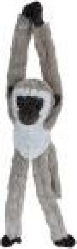 Vervet, Leke apekatt