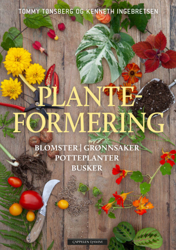 Planteformering av Kenneth Ingebretsen, Tommy Tønsberg