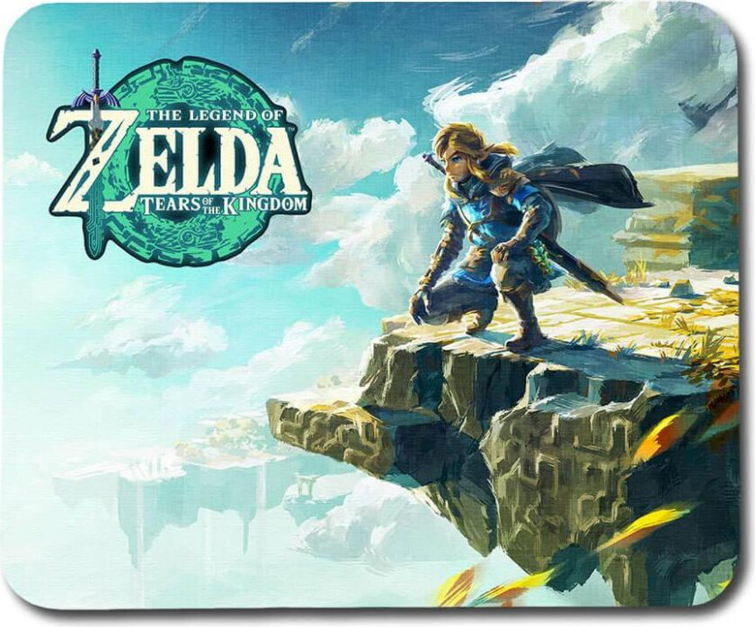 Zelda Tears of the Kingdom Musematte