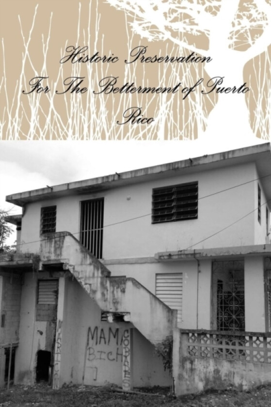 Historic Preservation for the Betterment of Puerto Rico av Shayna Scott (Paperback)