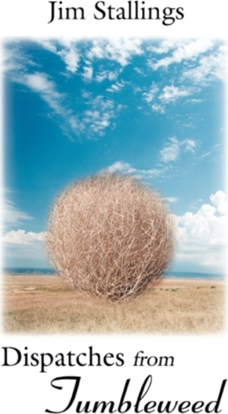 Dispatches from Tumbleweed av Jim Stallings (Paperback)