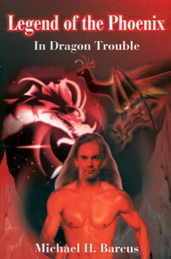 In Dragon Trouble av Michael H Barcus (Paperback)