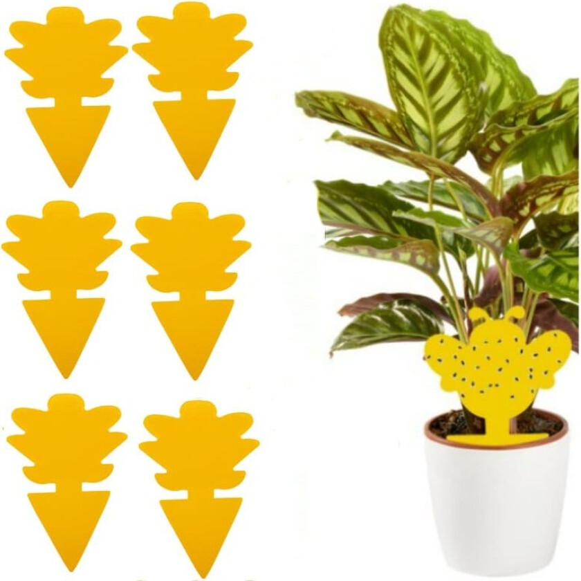 Klistrefelle for skadedyr på potteplanter 100-pak Gul
