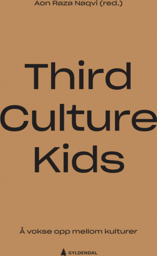 Third culture kids