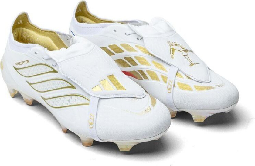 Bilde av Predator Elite Ft Fg Zinedine Zidane Limited Edition - Gress (Fg), størrelse 43⅓