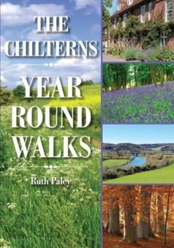The Chilterns Year Round Walks av Ruth Paley