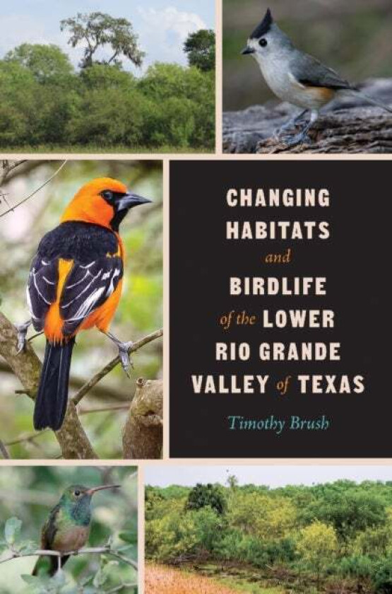 Changing Habitats and Birdlife of the Lower Rio Grande Valley of Texas av Timothy Brush