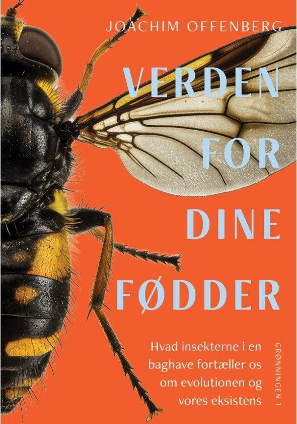 Verden for dine fødder | Joachim Offenberg