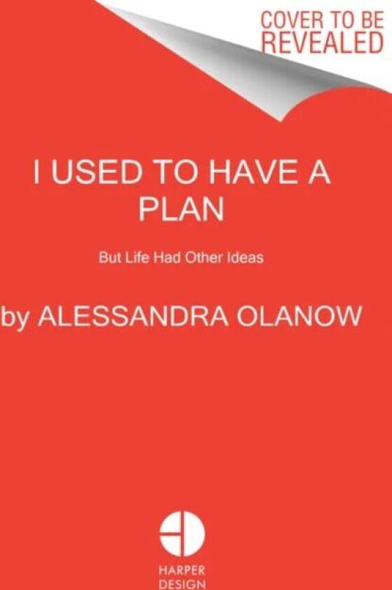 I Used to Have a Plan av Alessandra Olanow