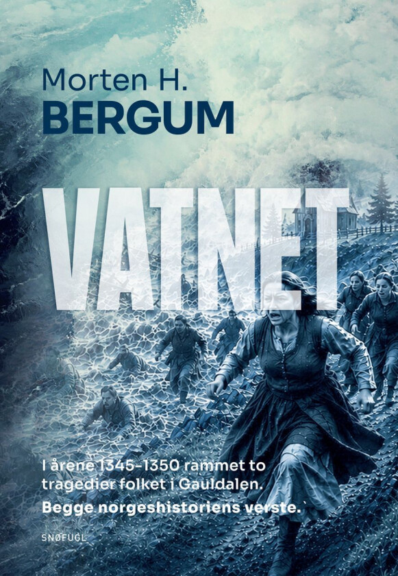 Vatnet av Bergum, Morten H.