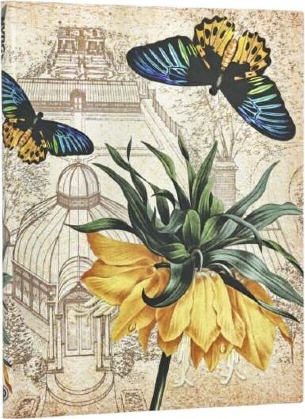 Golden Fritillaria Ultra Unlined Softcover Journal (Elastic Band Closure)