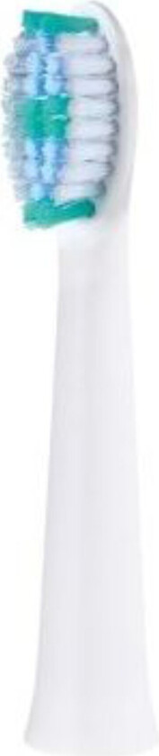 Tip WEW0974W503 Brush Head For Electric Toothbrush (pack of 2)