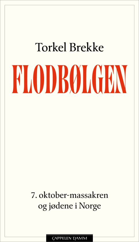 Flodbølgen av Torkel Brekke