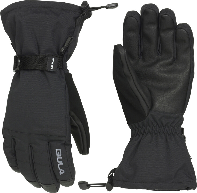 Bilde av Bula Alpine Gloves Move 23/24, skihansker, herre BLACK