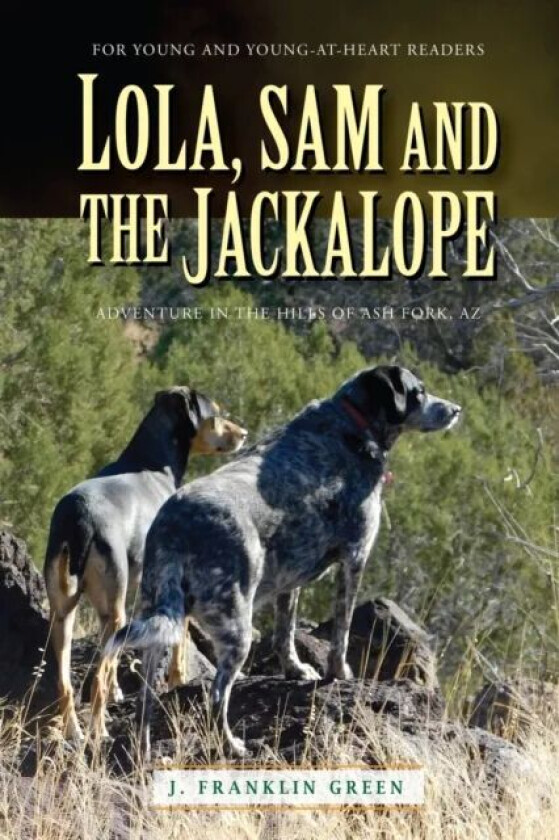 Lola, Sam and the Jackalope av John Green