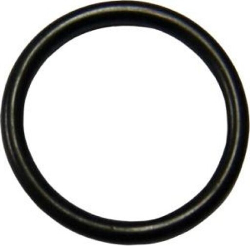 O-ring, Ø10,78 x 2,62 mm