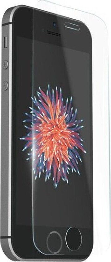 Xkin Tempered Glass for iPhone 5/5S/SE