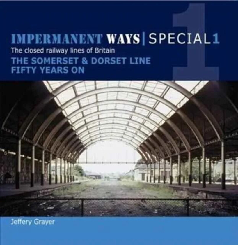 Impermanent Ways Special 1 av Jeffery Grayer