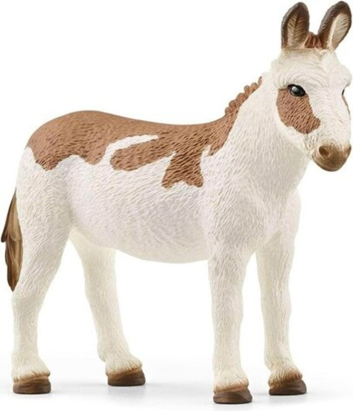 American Spotted Donkey 6.6cm