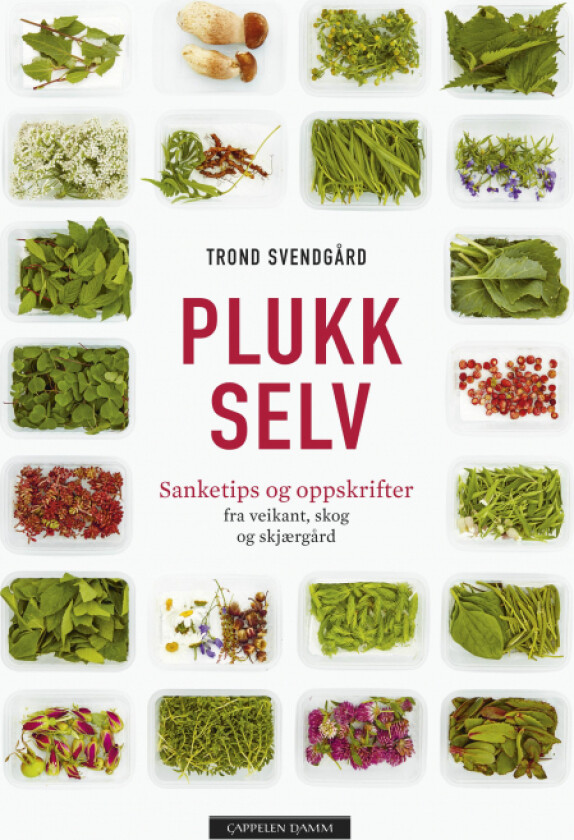 Plukk selv av Trond Svendgård