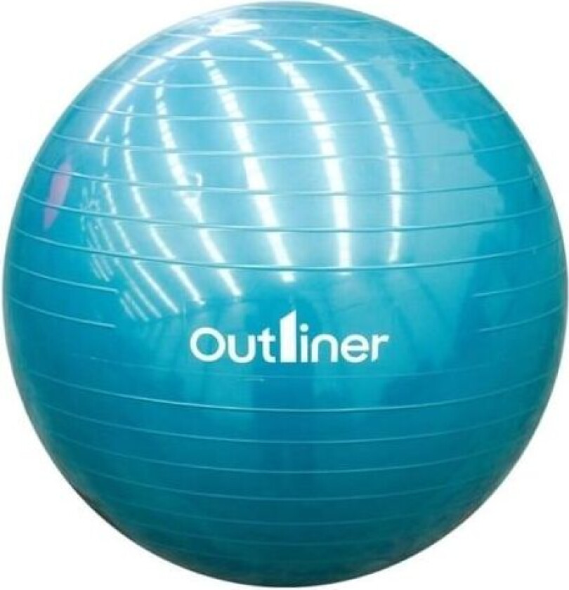 Gym Ball Pvc Ls3221-55Cm
