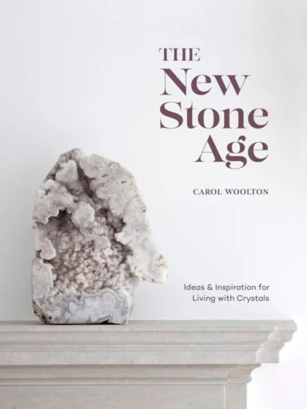 The New Stone Age av Carol Woolton