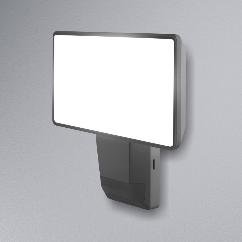 ENDURA PRO FLOOD SENSOR - Sikkerhetslys - LED - 30 W - kjølilg hvitt lys - 4000 K - mørk grå