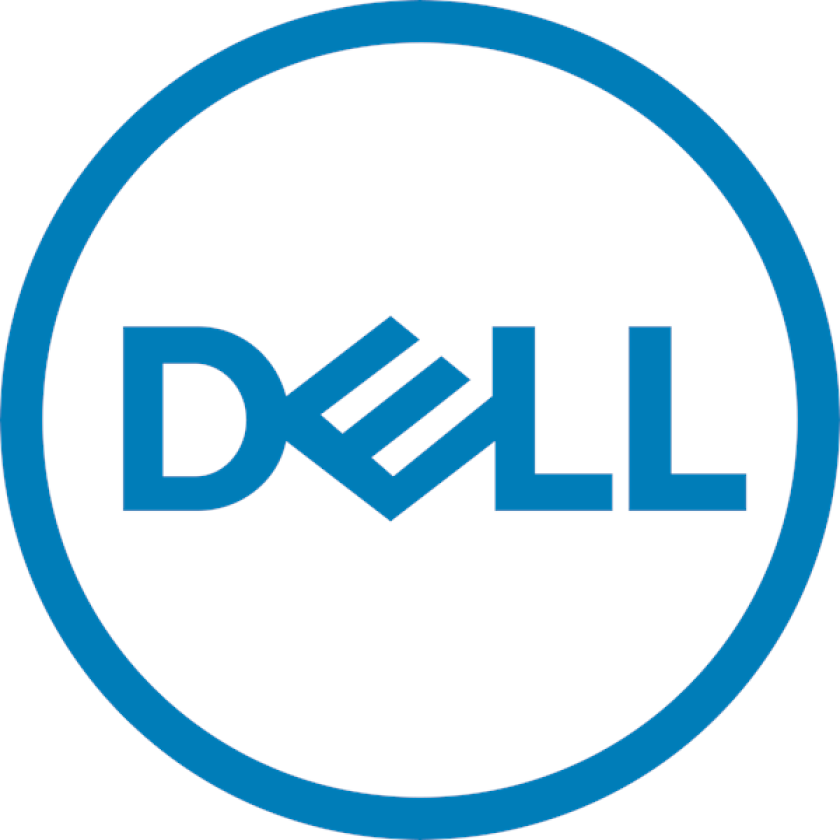 - Customer Kit - SSD - Read Intensive - 3.84 TB - with carrier - SAS 22.5Gb/s