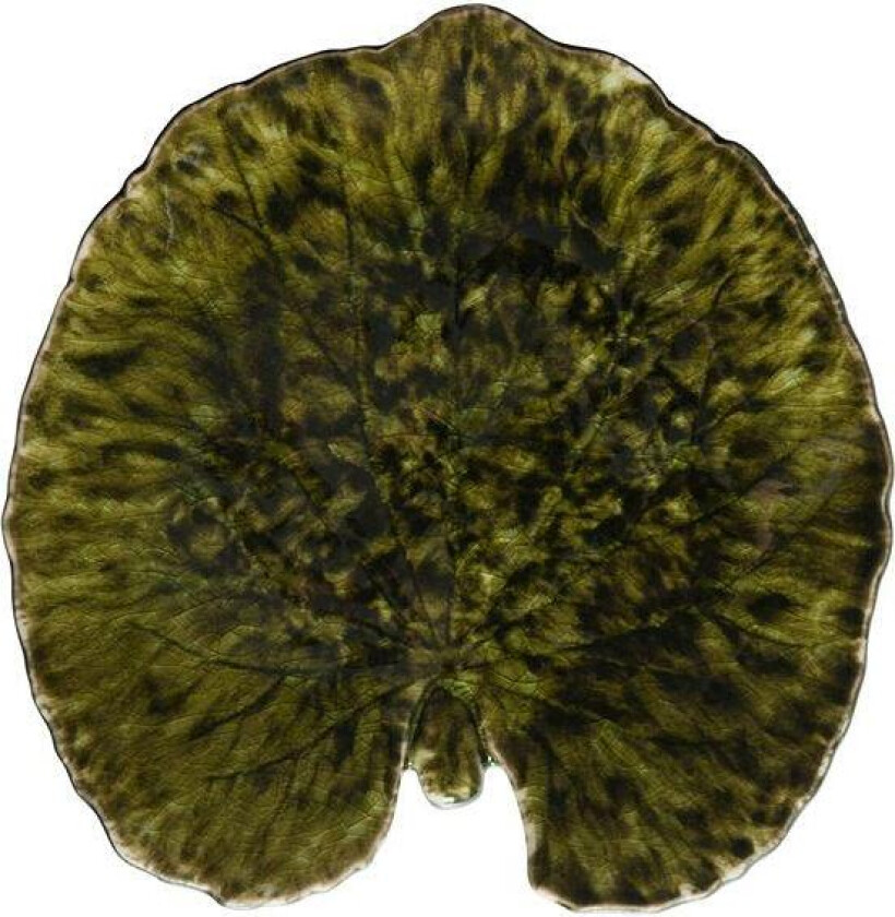 Leaf Plate Alchemille 17.6X 17CM Green 17.6X 17CM