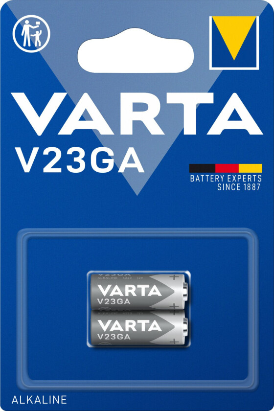 Professional V 8 GS