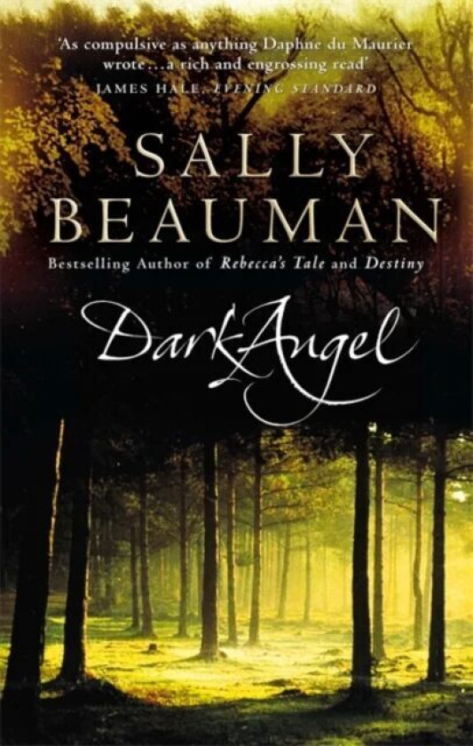 Dark Angel av Sally Beauman
