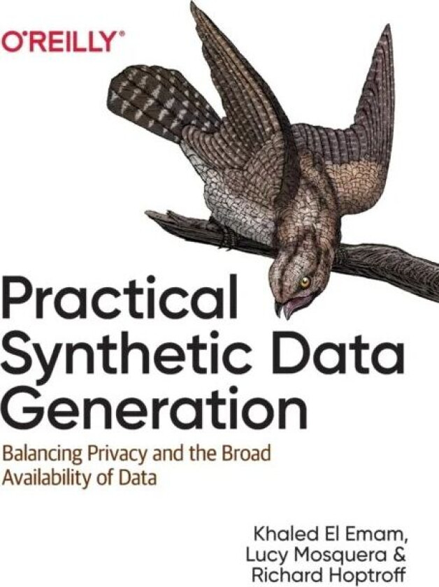Practical Synthetic Data Generation av Khaled El Emam, Lucy Mosquera, Richard Hoptroff