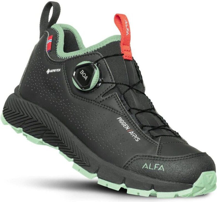 Piggen A/p/s GTX Black Dame 39