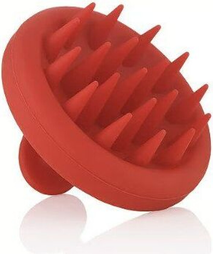Scalp Massager