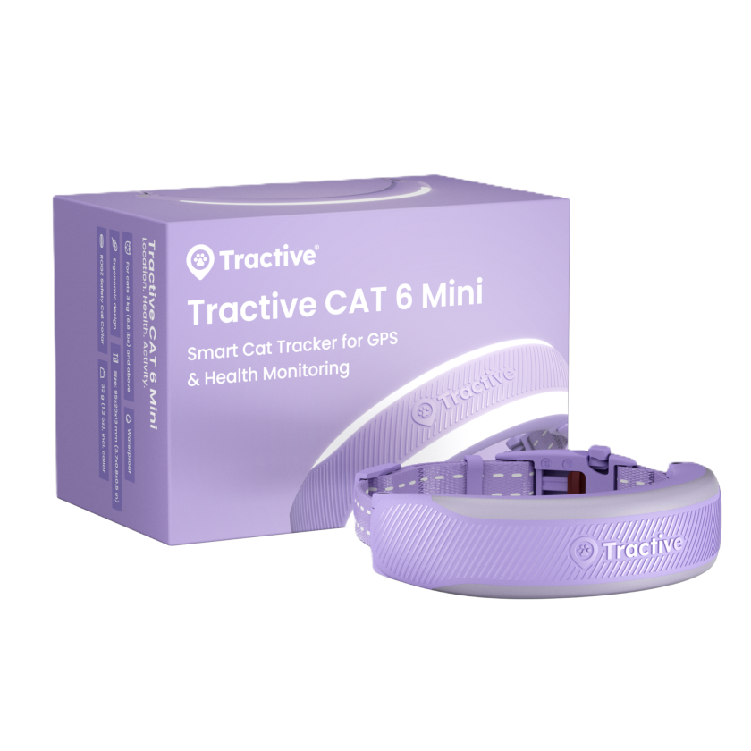 CAT 6 Mini GPS Lavendel - Katt - Halsbånd - Tractive