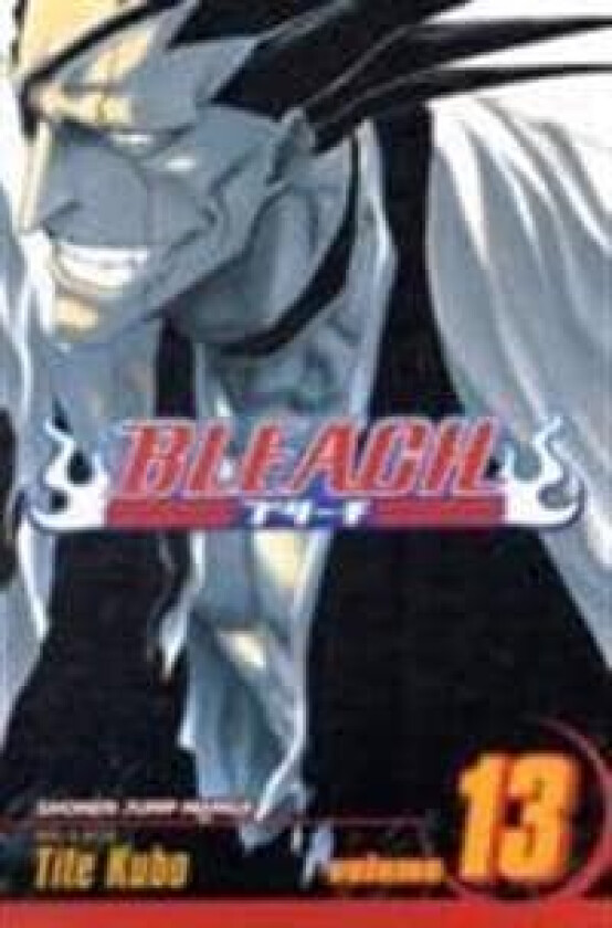 Bleach, Vol. 13 av Tite Kubo