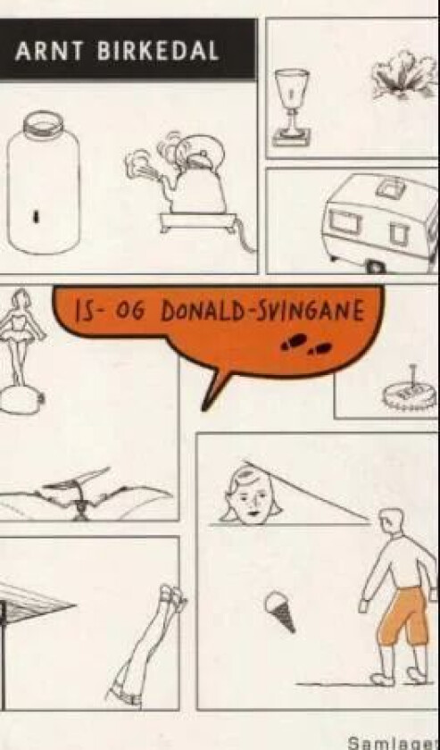 Is- og Donald-svingane av Arnt Birkedal